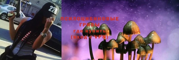 прущая мука Верхний Тагил